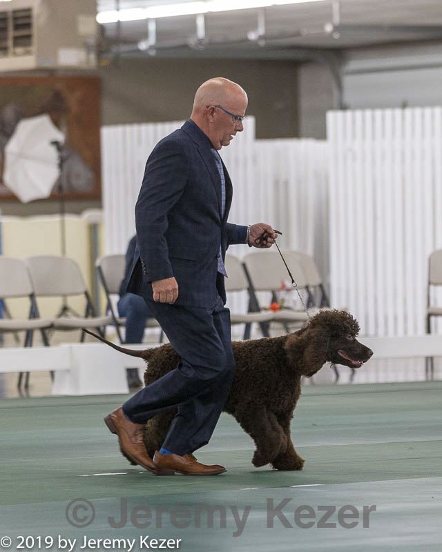 20190515-co-1485.jpg