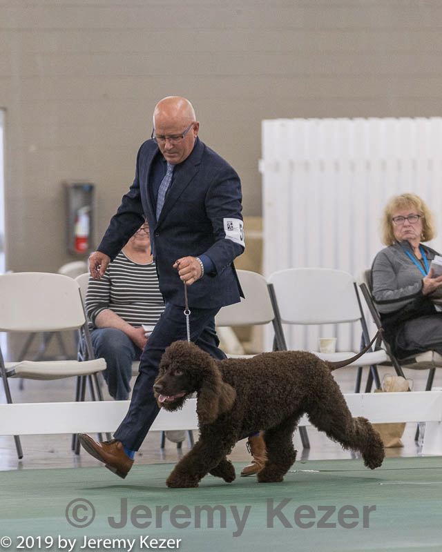 20190515-co-1495.jpg