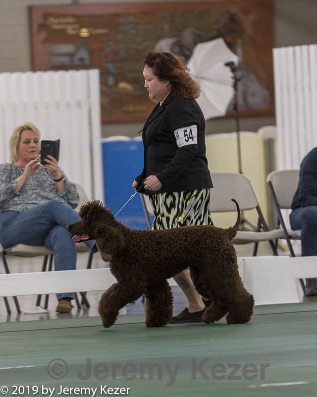 20190515-co-1574.jpg