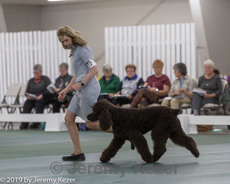 20190515-co-1848.jpg