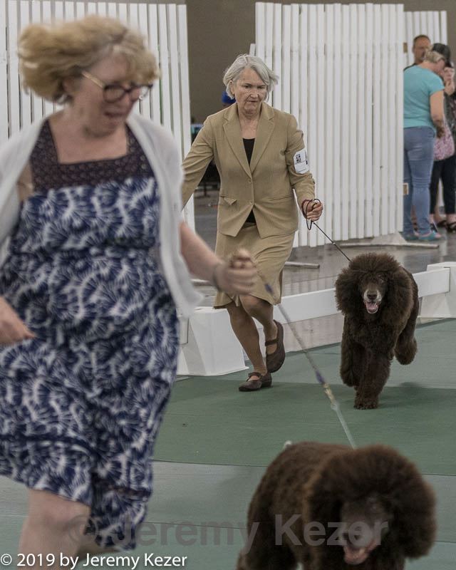 20190515-co-1895.jpg