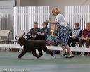 20190515-co-1027