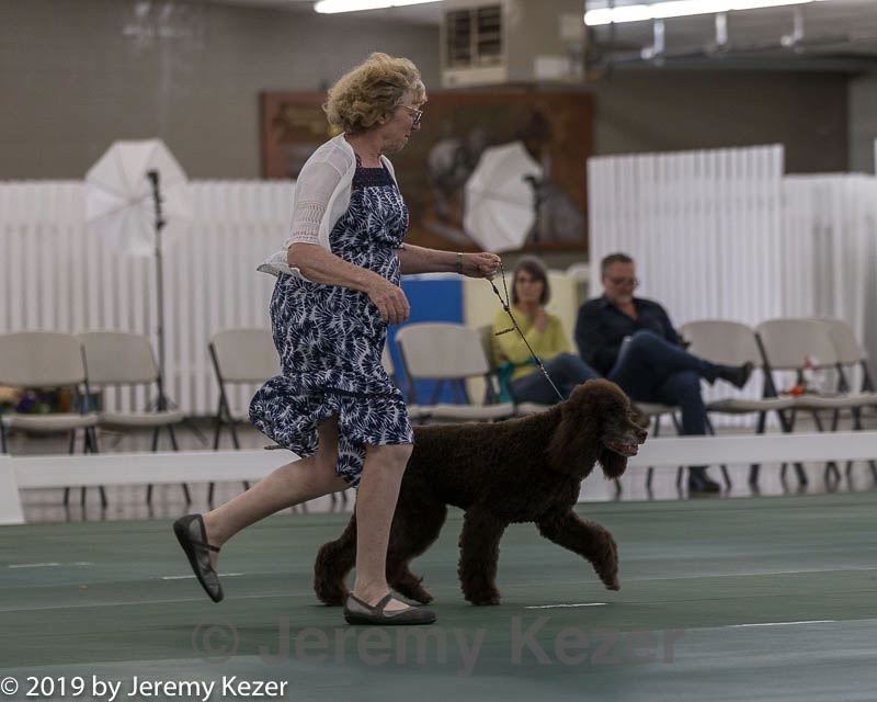 20190515-co-1018.jpg