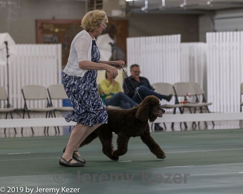 20190515-co-1019.jpg