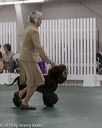 20190515-co-1075