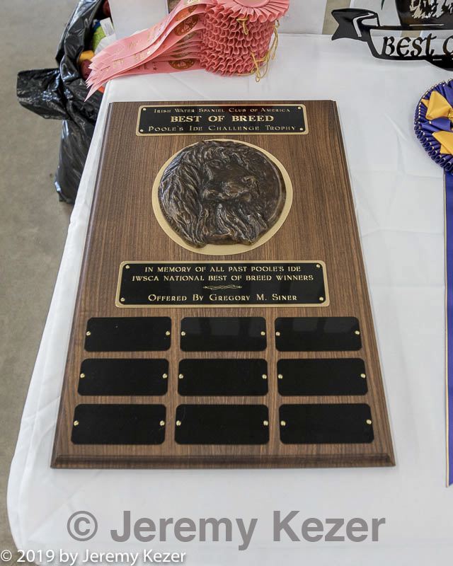 20190515-c-0005.jpg