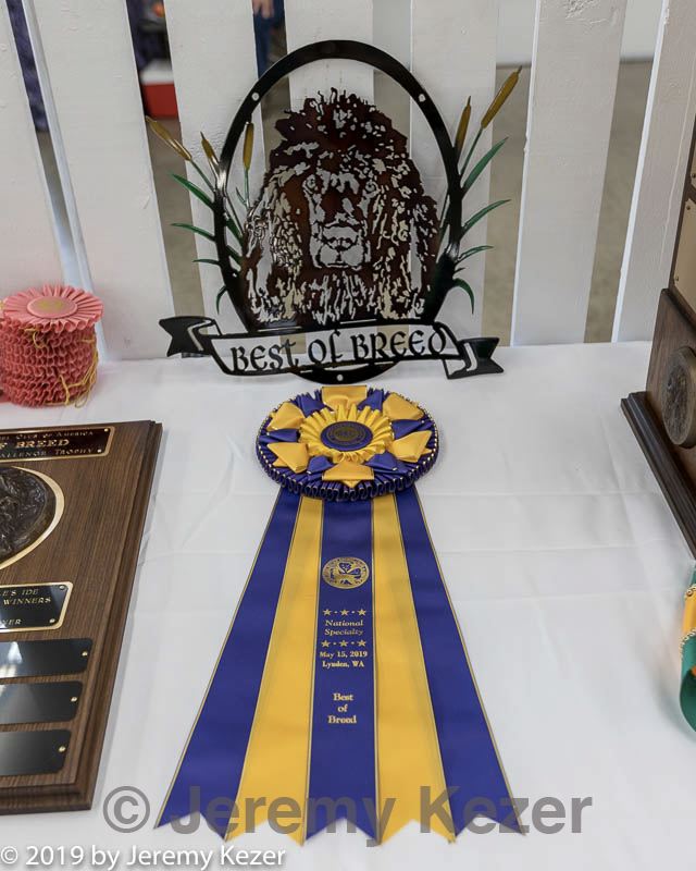 20190515-c-0007.jpg