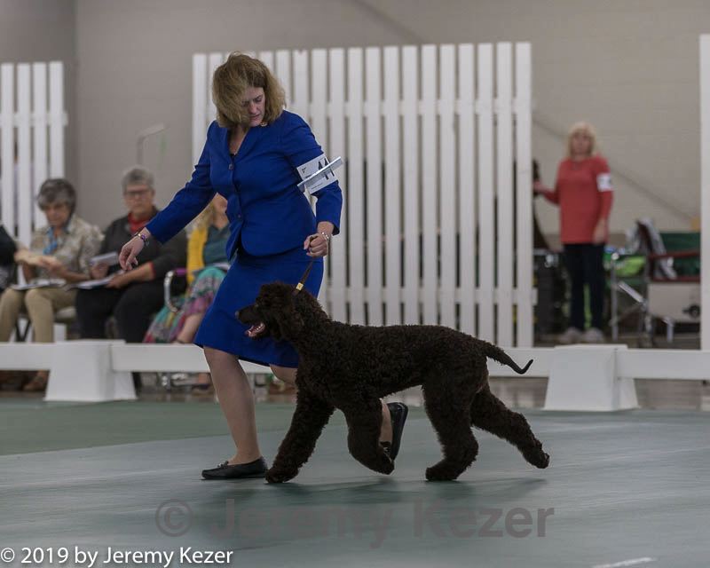 20190515-co-0148.jpg