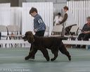 20190515-co-1115