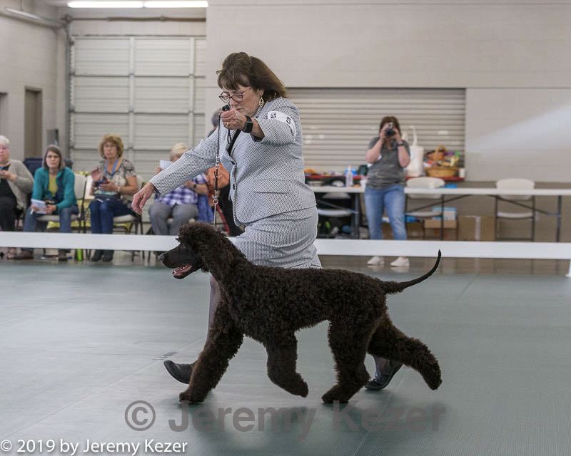 20190515-sw-0005.jpg