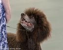20190515-sw-0496