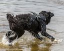 20190817-awd-0011