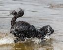 20190817-awd-0013