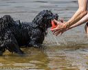 20190817-awd-0024