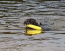 20190817-awd-0025