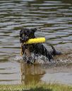 20190817-awd-0027