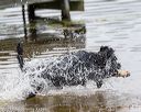 20190817-awd-0057