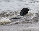 20190817-awd-0062