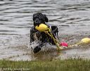 20190817-awd-0076