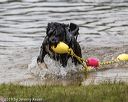 20190817-awd-0077