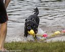 20190817-awd-0079