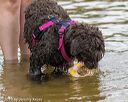 20190817-awd-0091
