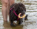20190817-awd-0092