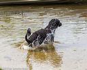 20190817-awd-0118
