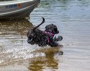 20190817-awd-0120