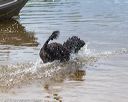 20190817-awd-0121