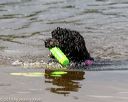 20190817-awd-0123
