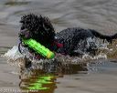 20190817-awd-0125