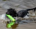 20190817-awd-0126