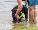 20190817-awd-0143
