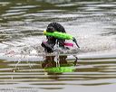 20190817-awd-0159