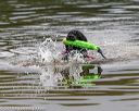 20190817-awd-0160