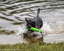20190817-awd-0175
