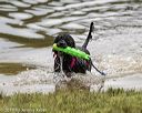 20190817-awd-0178