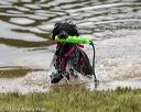 20190817-awd-0180