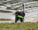 20190817-awd-0184