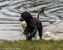 20190817-awd-0245