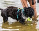 20190817-awd-0286