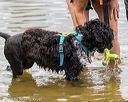 20190817-awd-0287