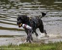 20190817-awd-0307