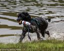 20190817-awd-0309