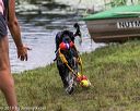 20190817-awd-0354