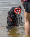 20190817-awd-0380