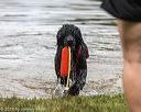 20190817-awd-0409