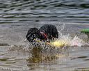 20190817-awd-0459