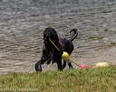 20190817-awd-0476